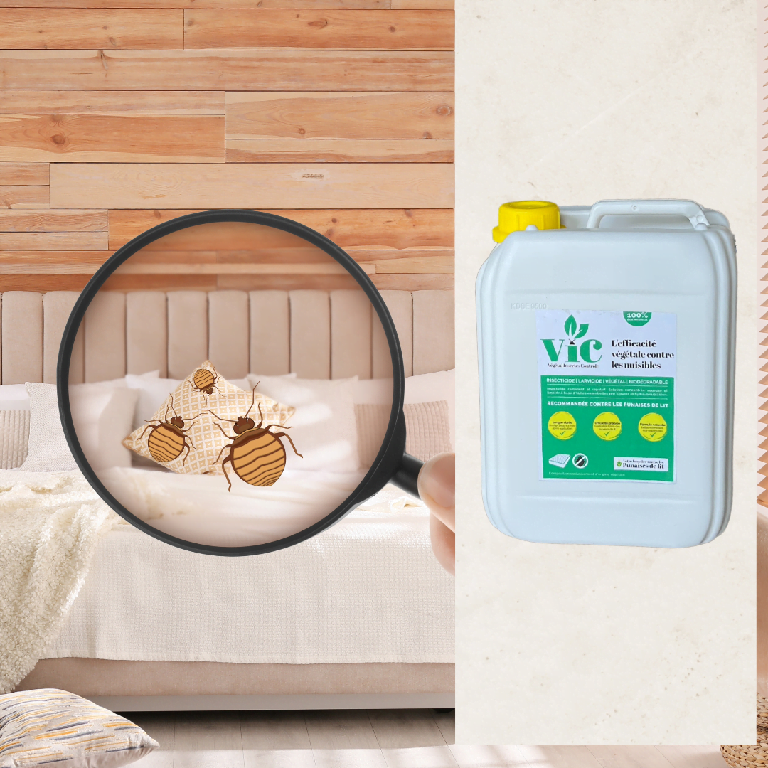 VIC insecticide Punaises de lit & Acariens- Bidons de 2 L, 5 L, 10 Litres -  Distripro