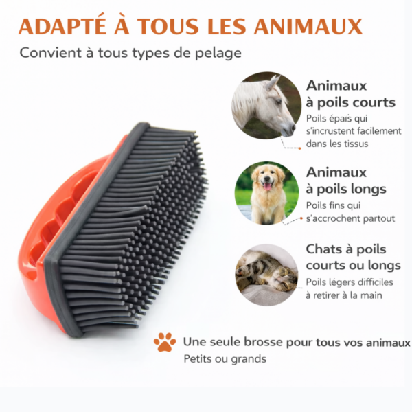 Brosse en silicone Puppyklean pour retirer les poils d’animaux sur tissus, adaptée à tous types de pelage