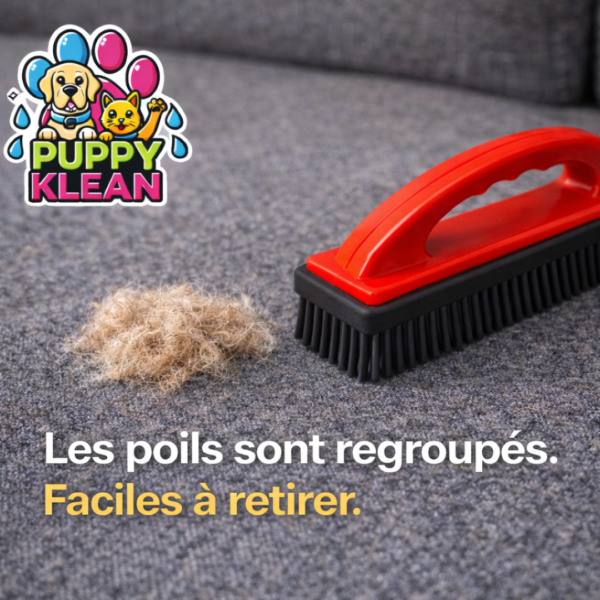 Brosse anti poils animaux PuppyKlean regroupant les poils de chien et de chat sur un tissu pour un retrait facile